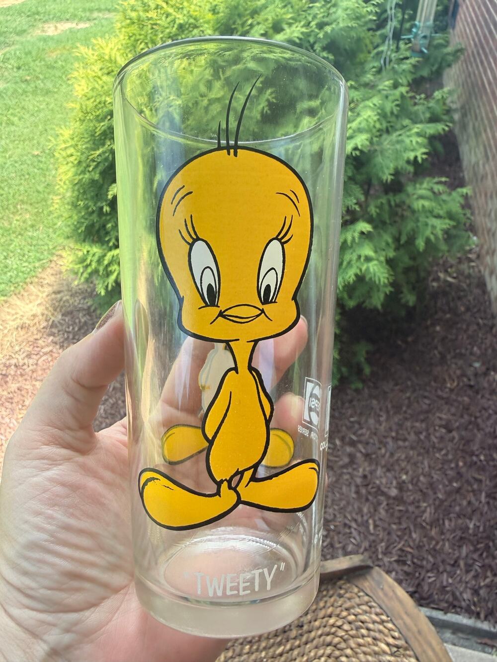 Vintage Looney Tunes Tweety Bird Glass